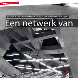 Een netwerk van beton