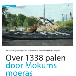 Over 1338 palen door Mokums moeras