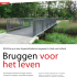 Bruggen voor het leven