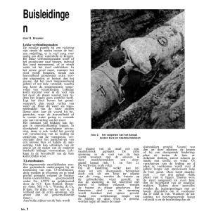 Buisleidingen