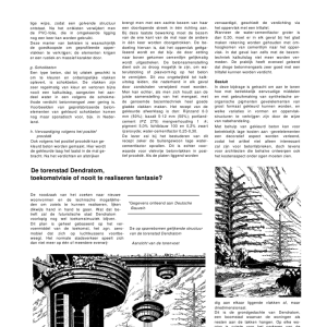 De torenstad Dendratom, toekomstvisie of nooit te realiseren fantasie