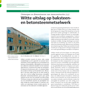 Witte uitslag op baksteen en betonsteenmetselwerk