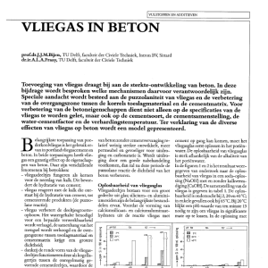 Vliegas in beton